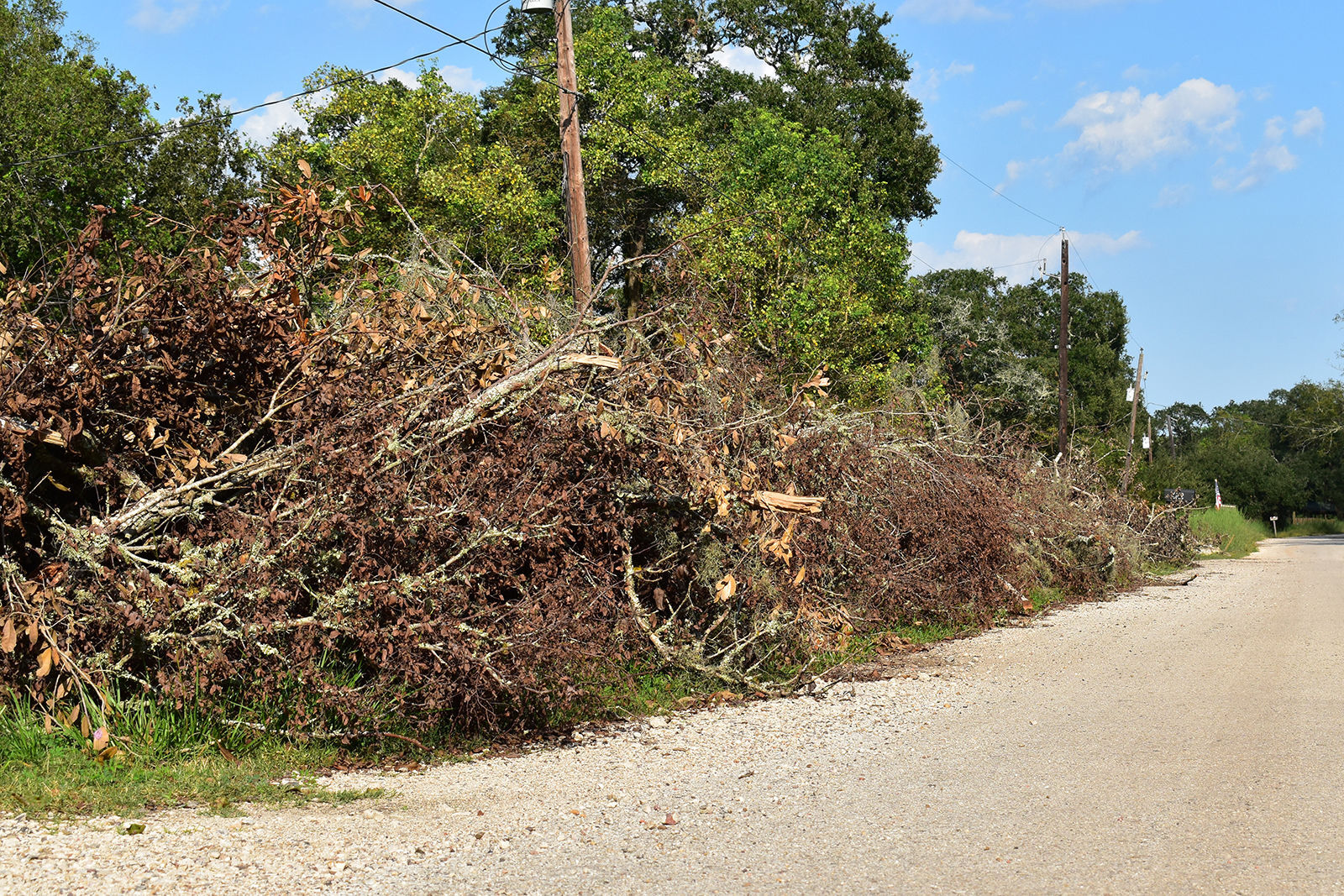 Clean up efforts